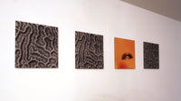 Brain Coral Photograph by Frederick Kinski - 8.75" x 8.75" - Mounted in Acrylic