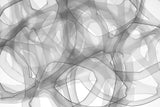 Frederick Kinski - Fish Trap - Macro Digital Photography - 2017