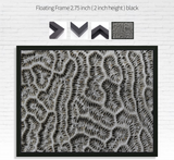 Frederick Kinski - Brain Coral - Macro Digital Photography - 2011