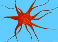 Brain Cell.   Acrylic Painting, Photoshop Manipulated Background Color